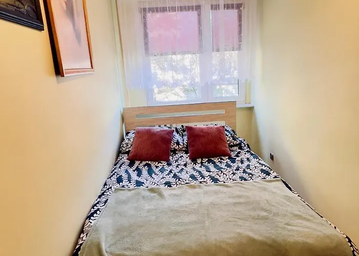 Wyzwolenia Street شقة كونين